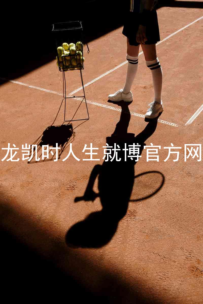 尊龙凯时人生就博官方网站