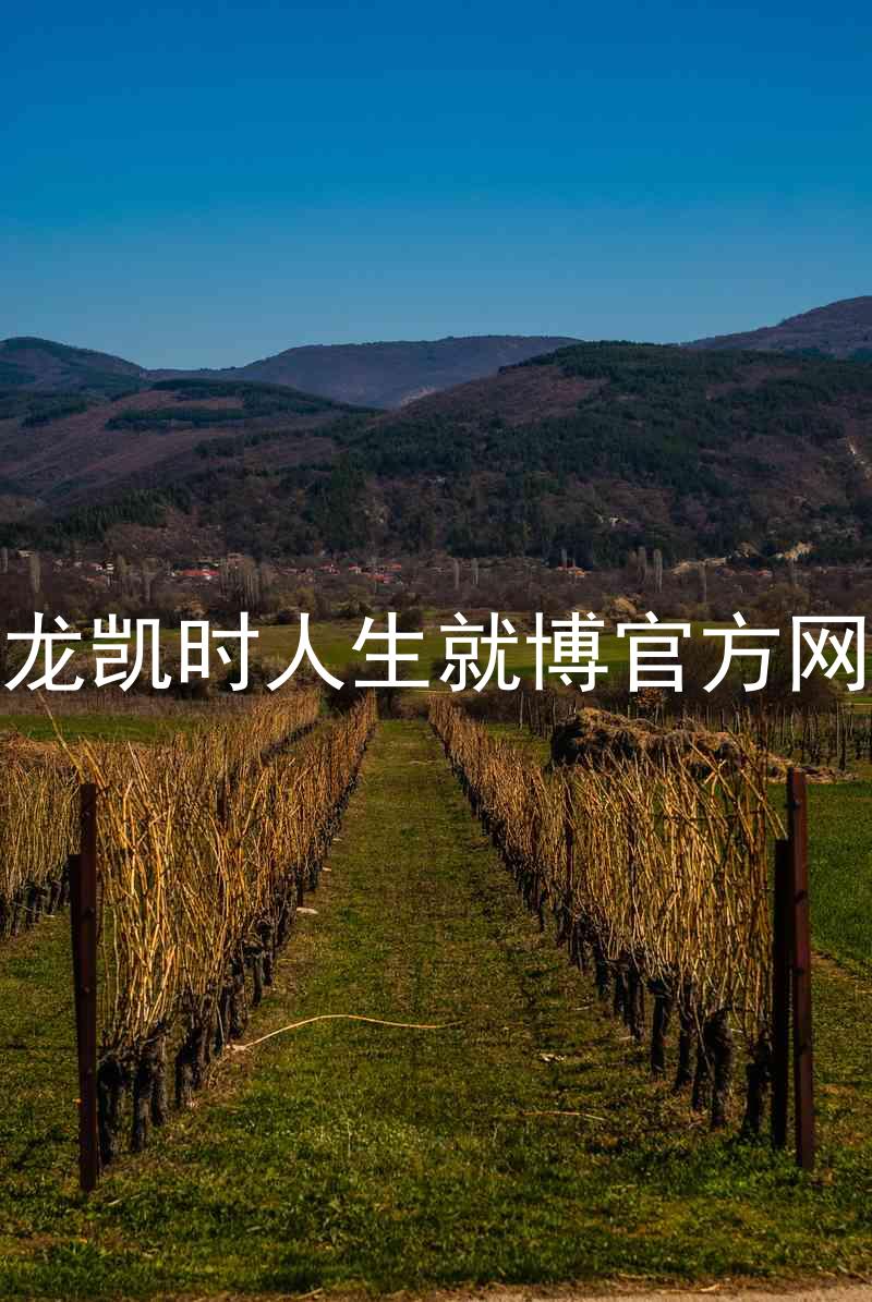 尊龙凯时人生就博官方网站